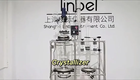 20L 50L 100L Chemische Laborausrüstung Kristallisationsreaktorfilter Glasreaktor Nutschenfilter mit Auffangflasche